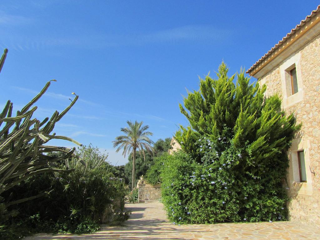 Son Simo Vell Farm stay